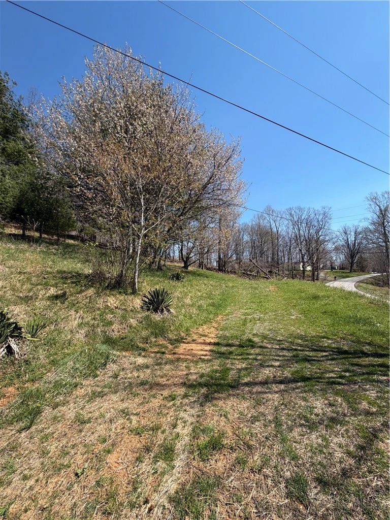 Image number 16 for the current listing