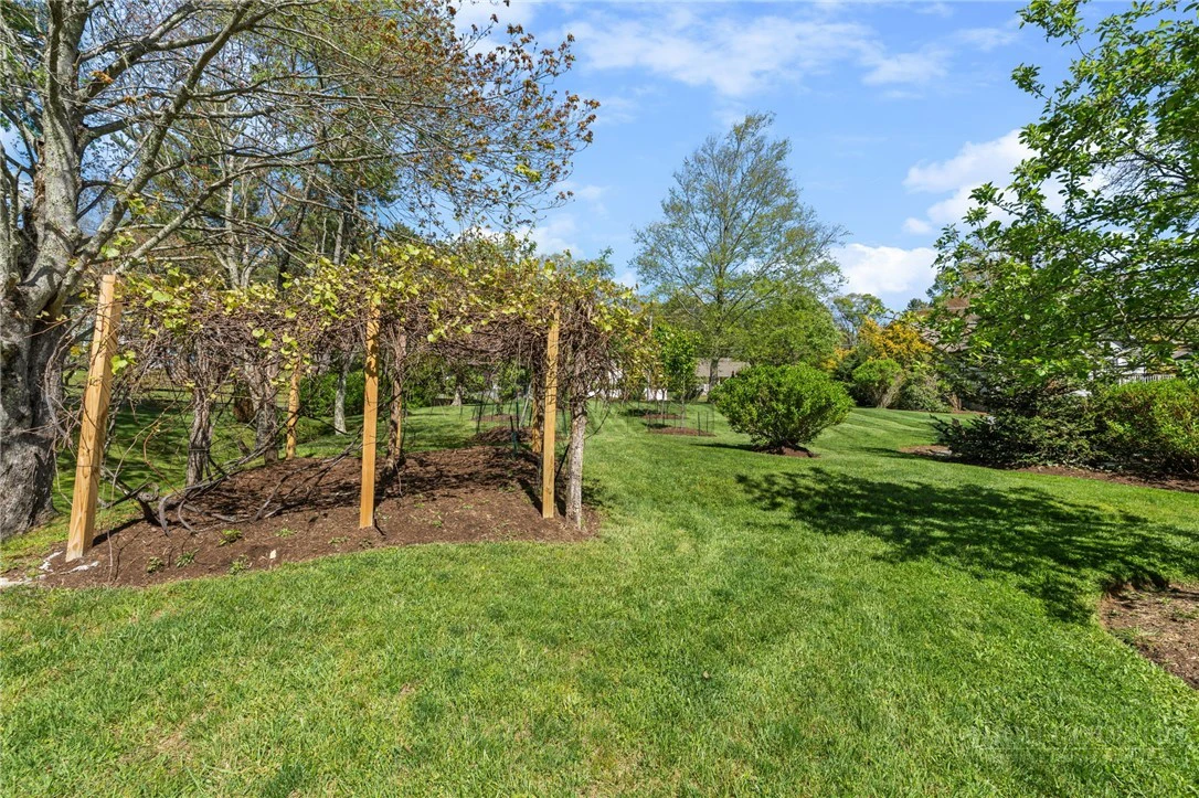 Image number 9 for the current listing