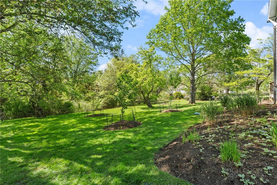 Image number 10 for the current listing