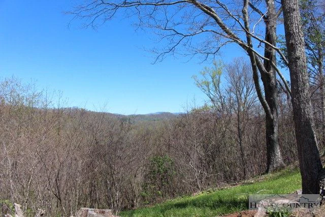 Image number 8 for the current listing