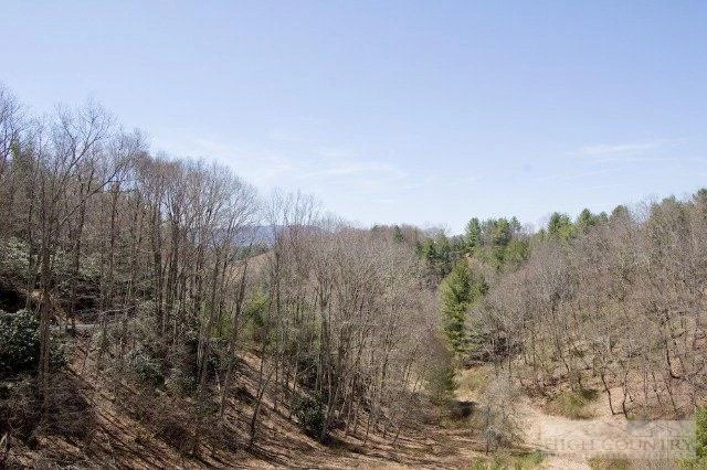 Image number 2 for the current listing