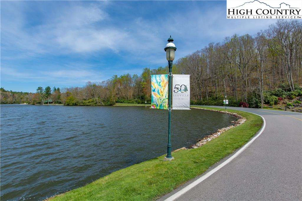 Image number 4 for the current listing