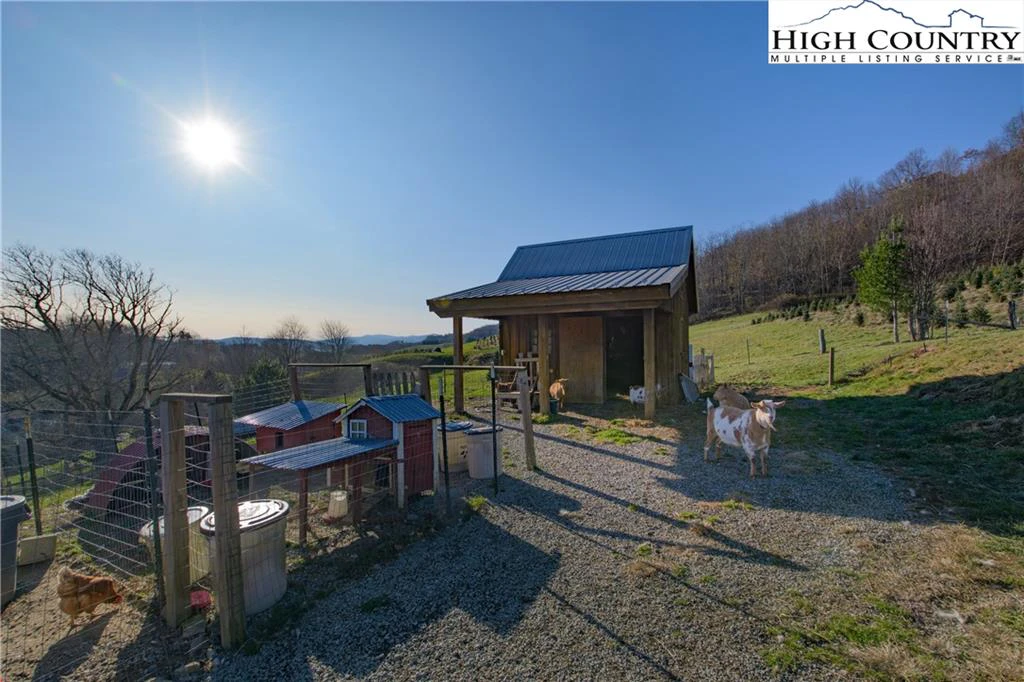 Image number 11 for the current listing