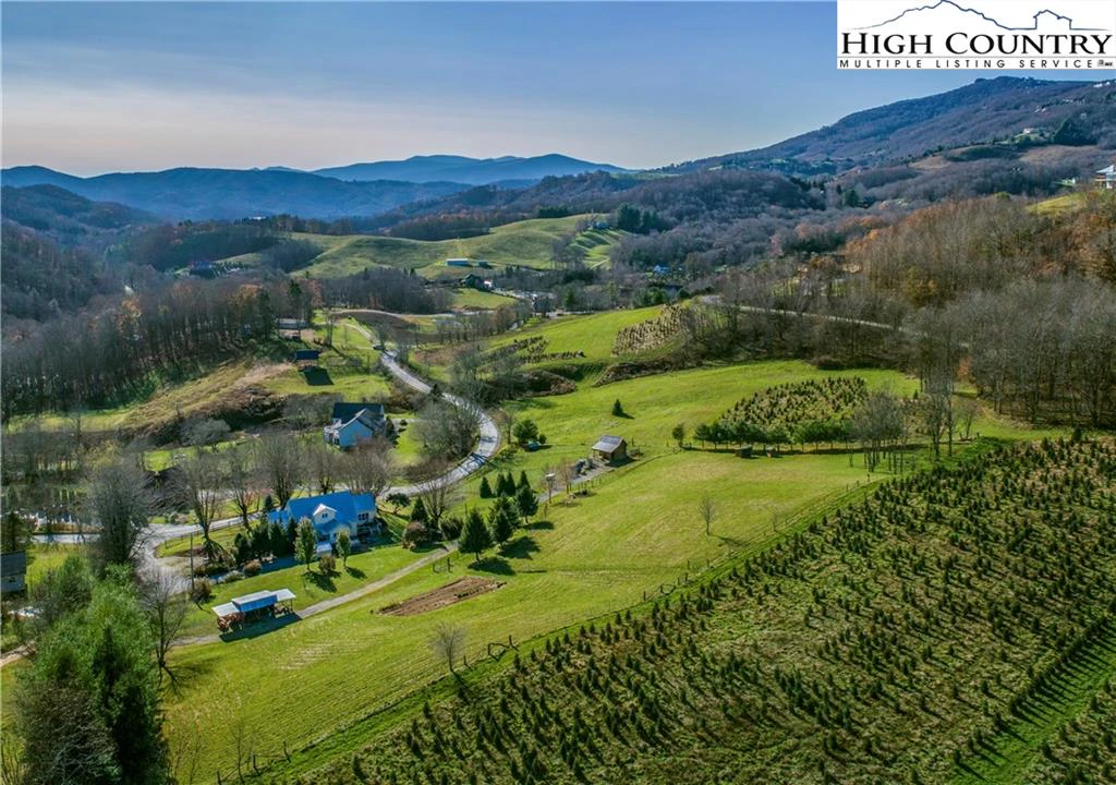 Image number 18 for the current listing