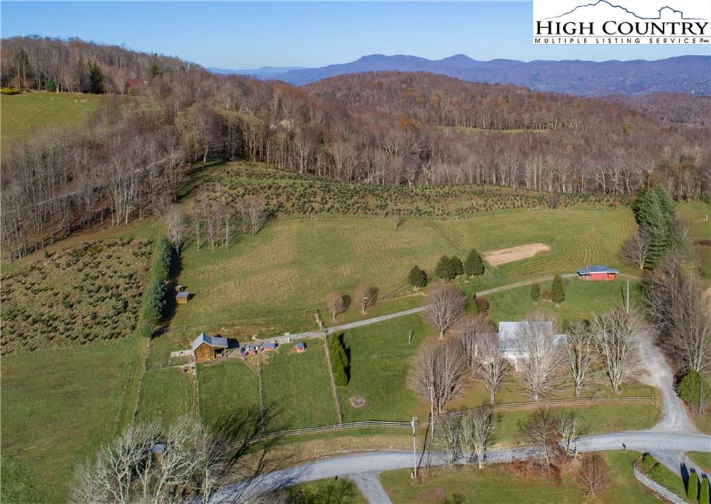 Image number 19 for the current listing