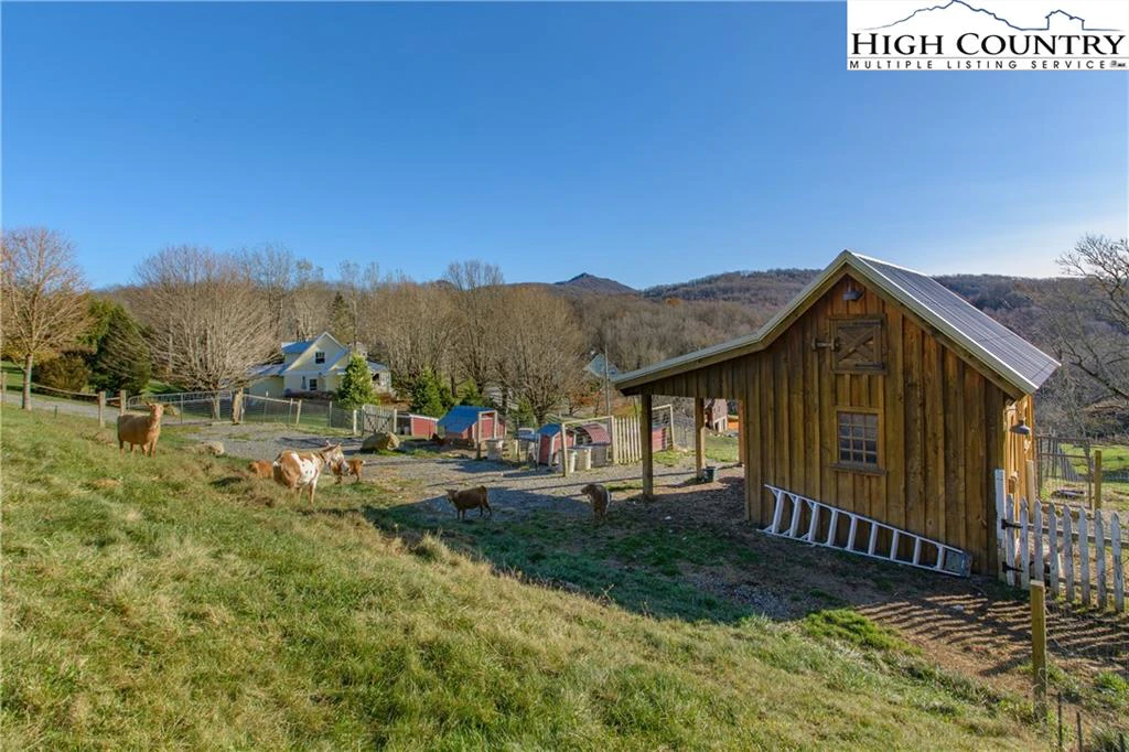 Image number 16 for the current listing