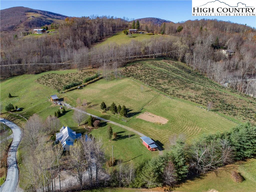 Image number 20 for the current listing