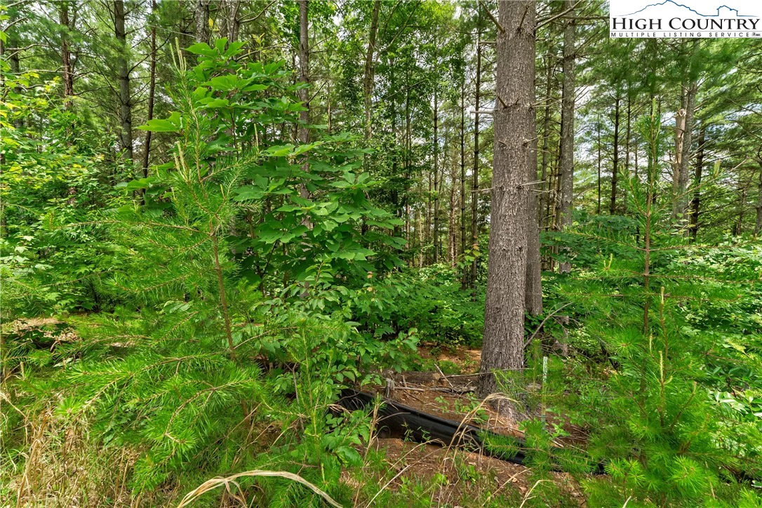 Image number 6 for the current listing