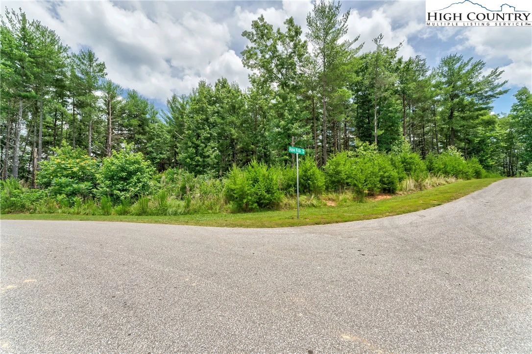 Image number 7 for the current listing