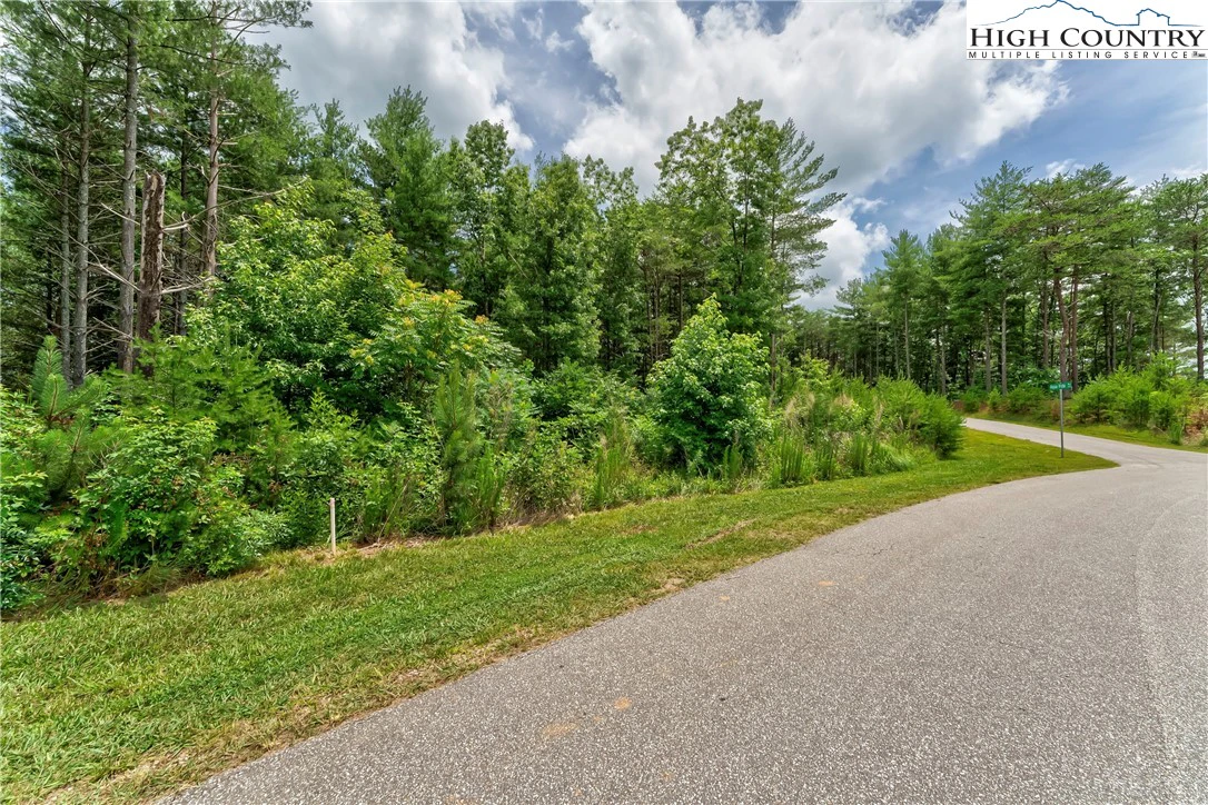 Image number 1 for the current listing