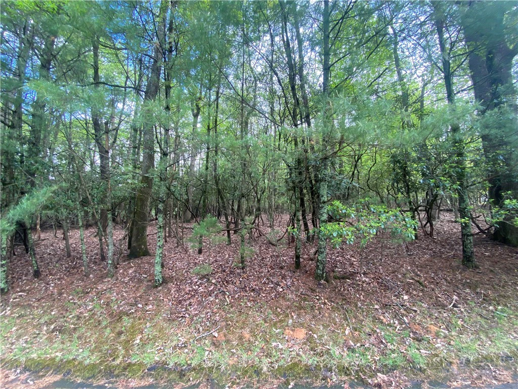 Image number 3 for the current listing