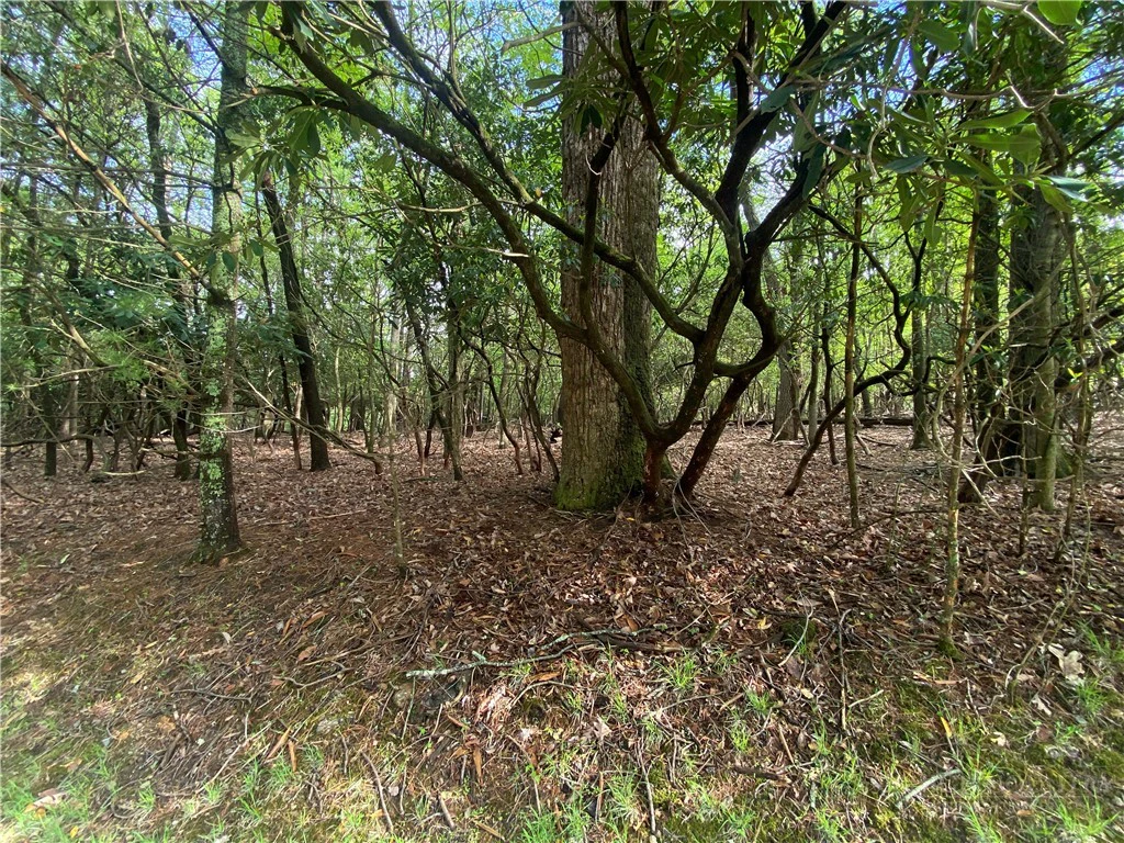 Image number 1 for the current listing