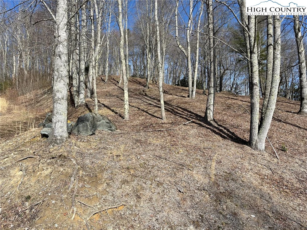 Image number 7 for the current listing