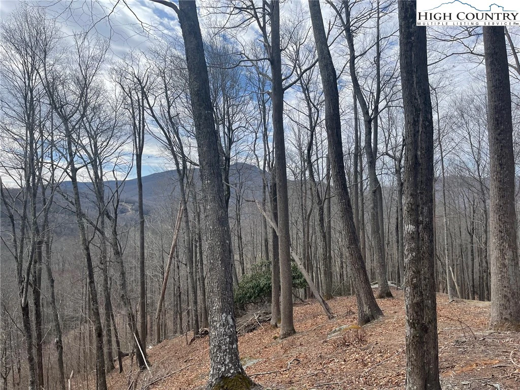 Image number 9 for the current listing