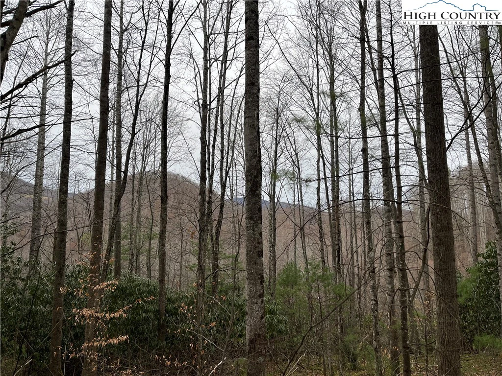 Image number 1 for the current listing