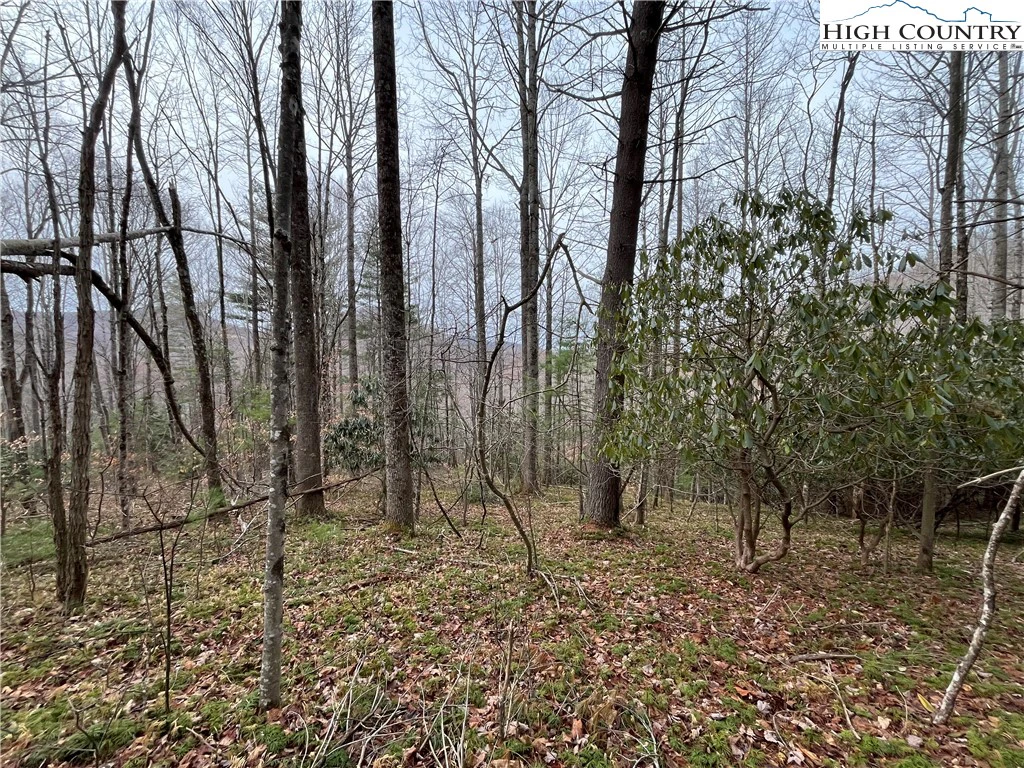 Image number 18 for the current listing