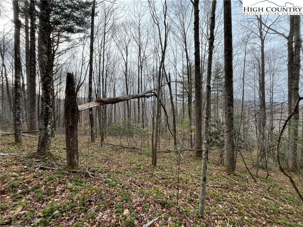 Image number 15 for the current listing
