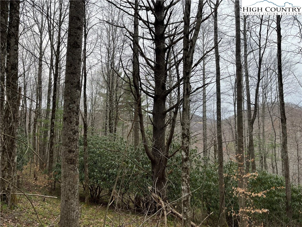 Image number 13 for the current listing