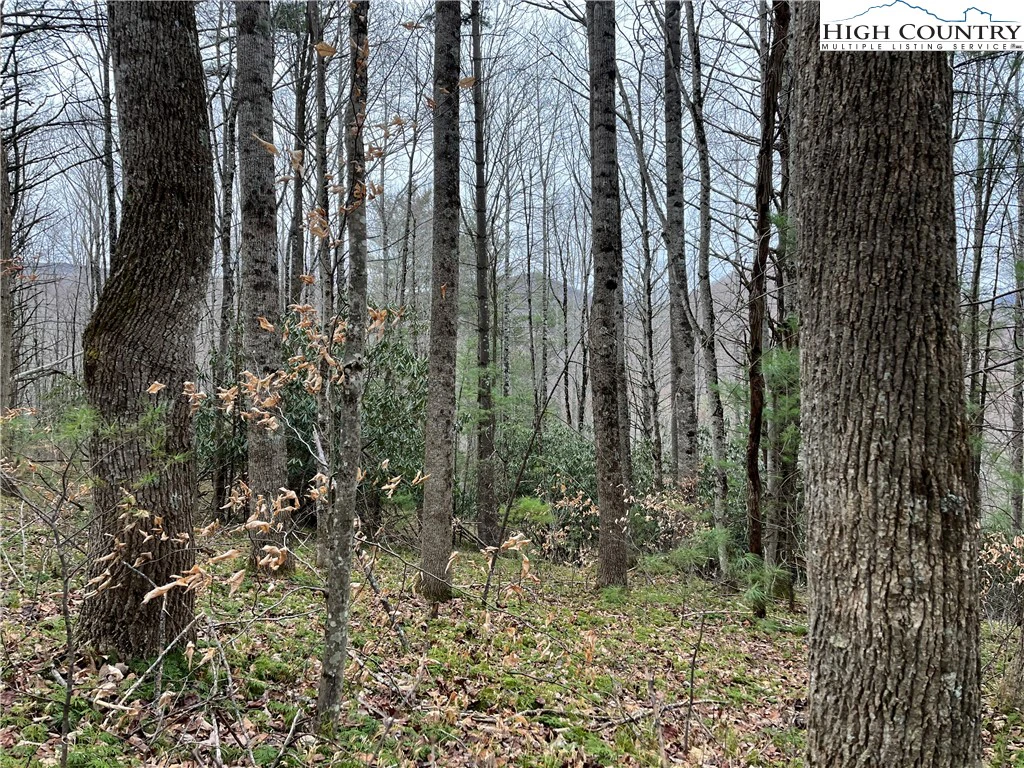 Image number 2 for the current listing