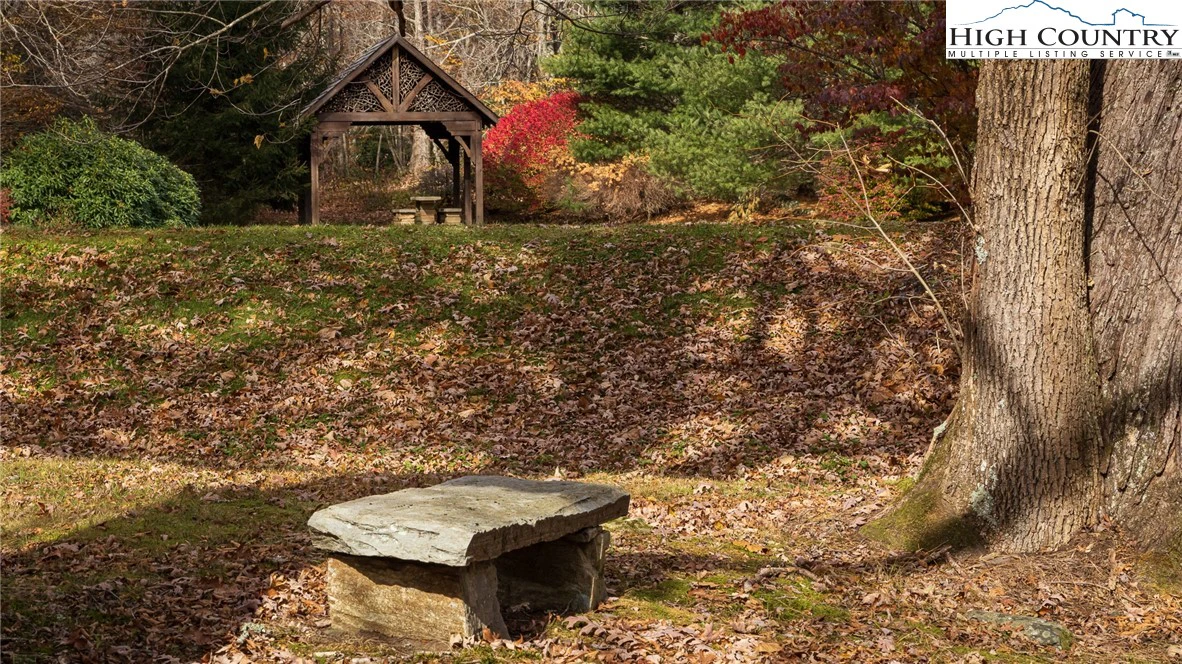 Image number 7 for the current listing