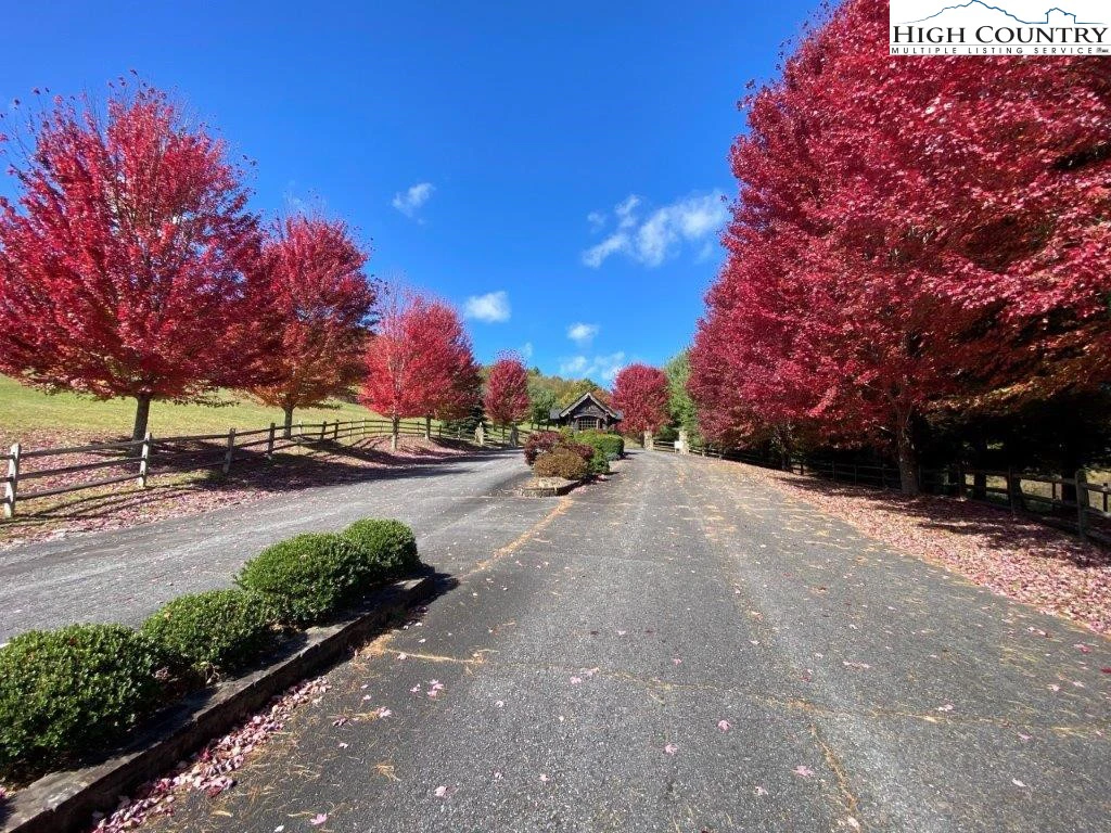 Image number 1 for the current listing