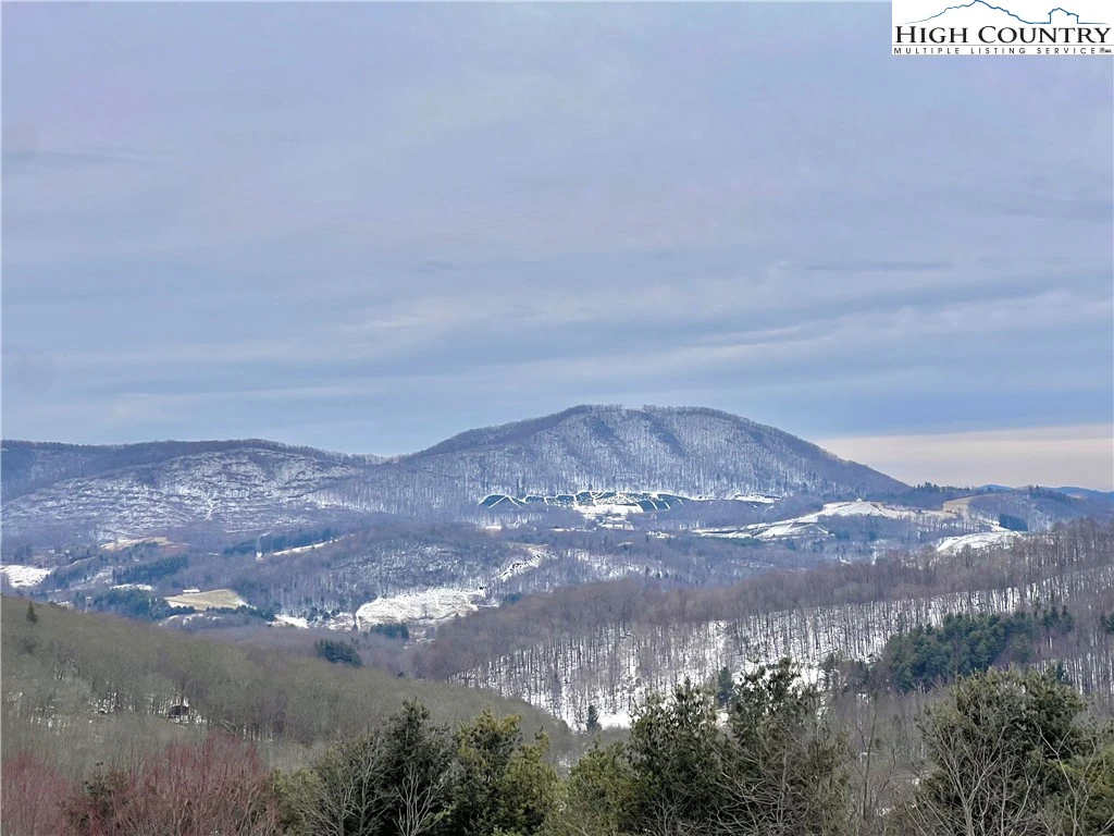Image number 1 for the current listing