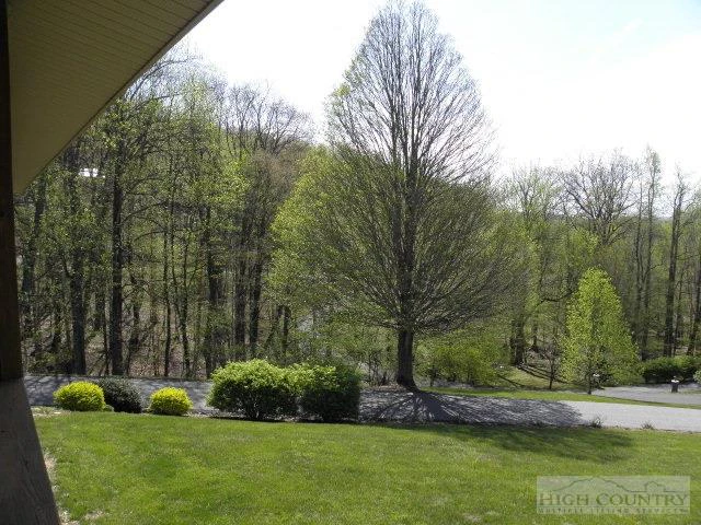 Image number 4 for the current listing