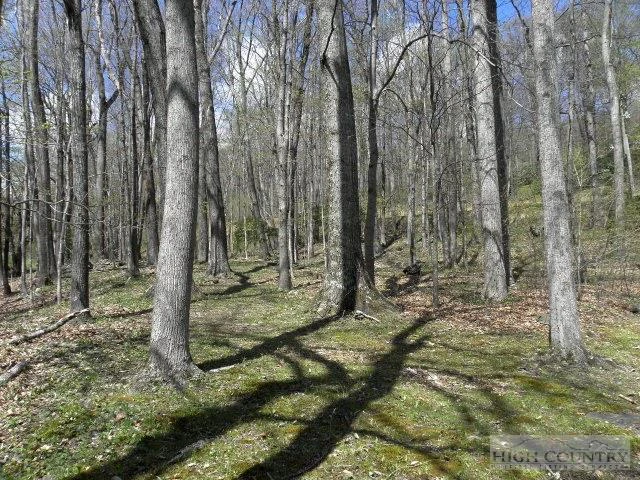 Image number 7 for the current listing