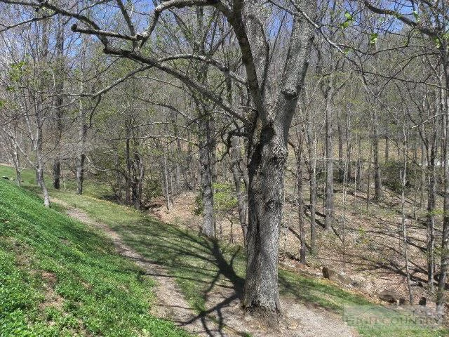 Image number 15 for the current listing