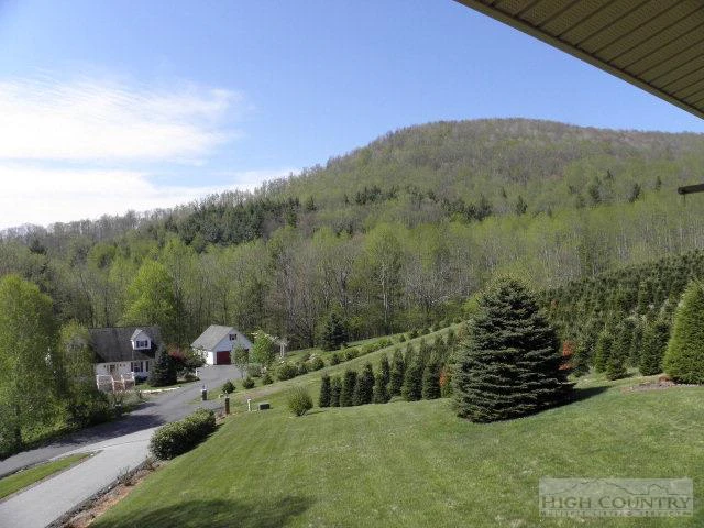 Image number 16 for the current listing