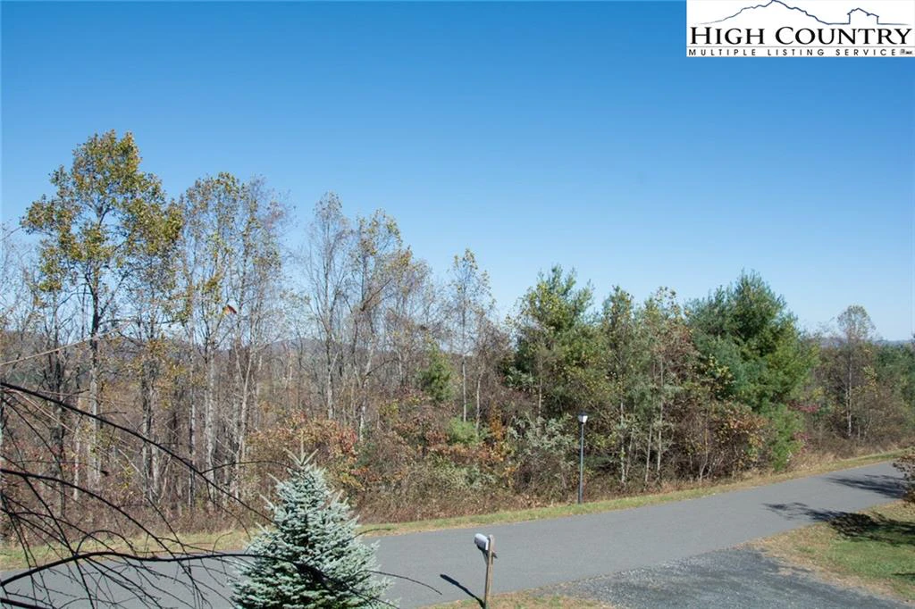 Image number 3 for the current listing
