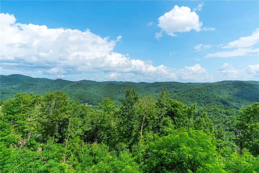 Image number 18 for the current listing