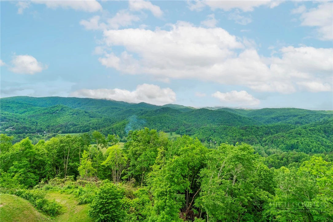 Image number 11 for the current listing