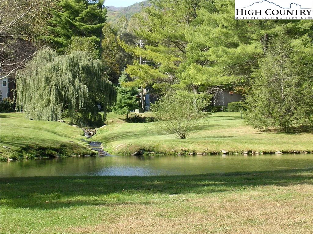Image number 12 for the current listing