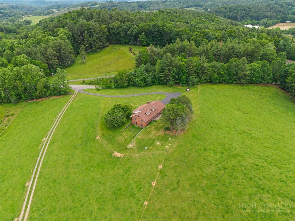 Image number 7 for the current listing
