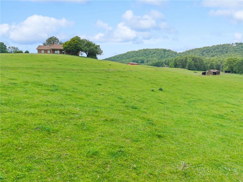 Image number 13 for the current listing