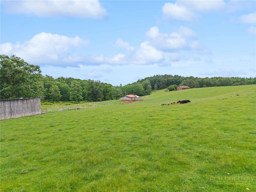 Image number 14 for the current listing