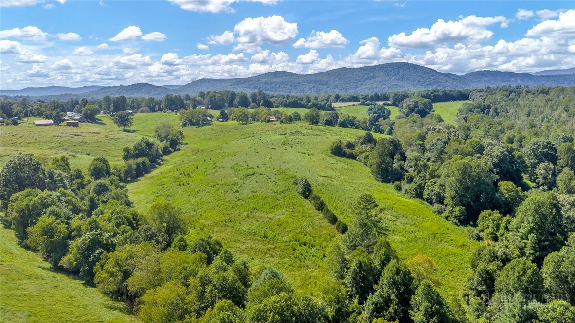 Image number 4 for the current listing