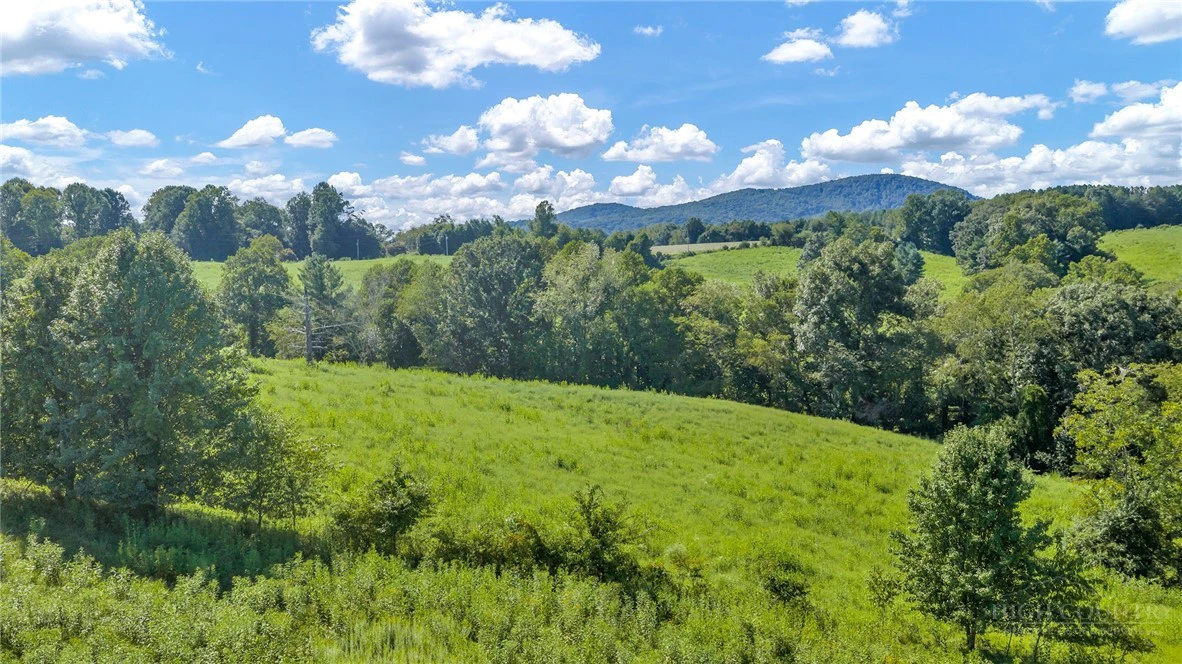 Image number 9 for the current listing
