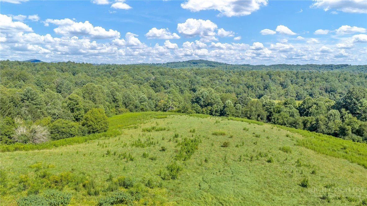 Image number 10 for the current listing