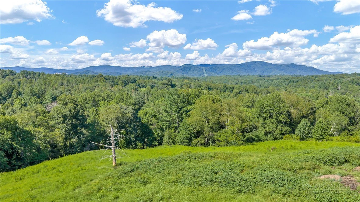 Image number 12 for the current listing