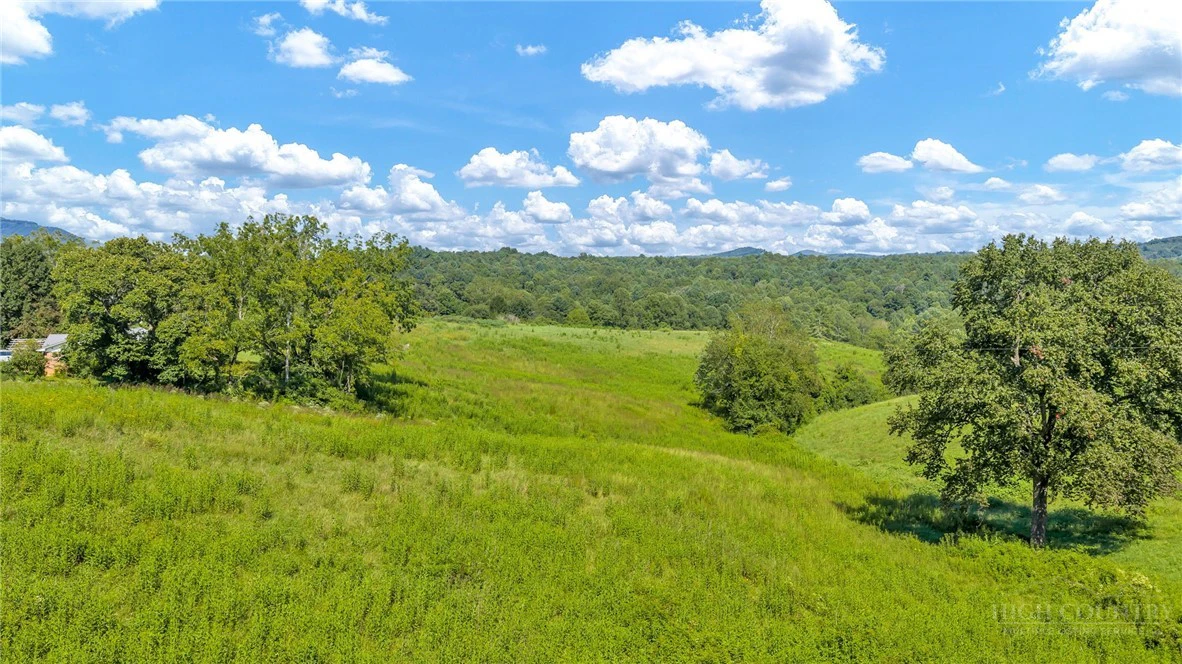 Image number 13 for the current listing
