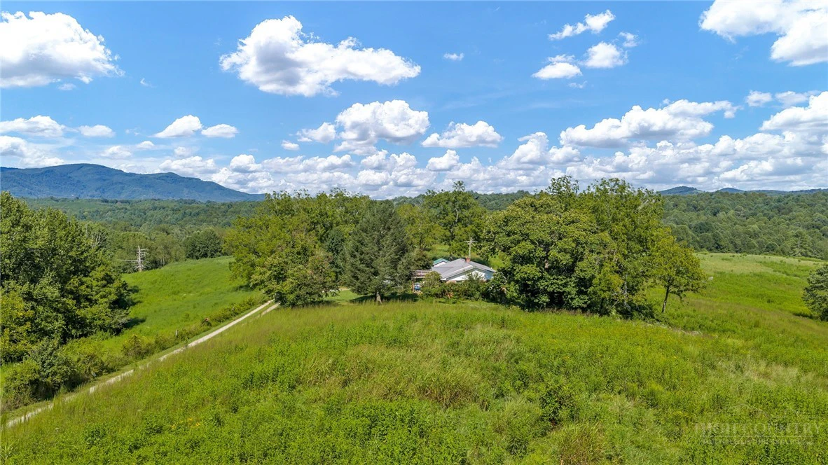 Image number 14 for the current listing