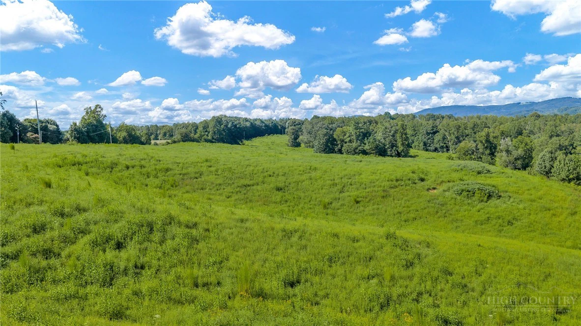 Image number 20 for the current listing