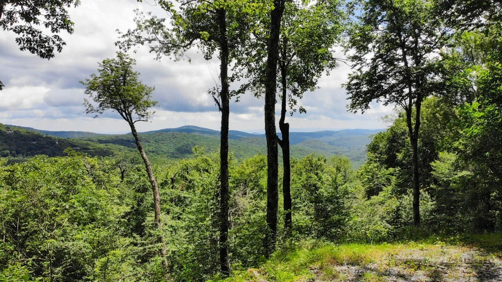 Image number 1 for the current listing