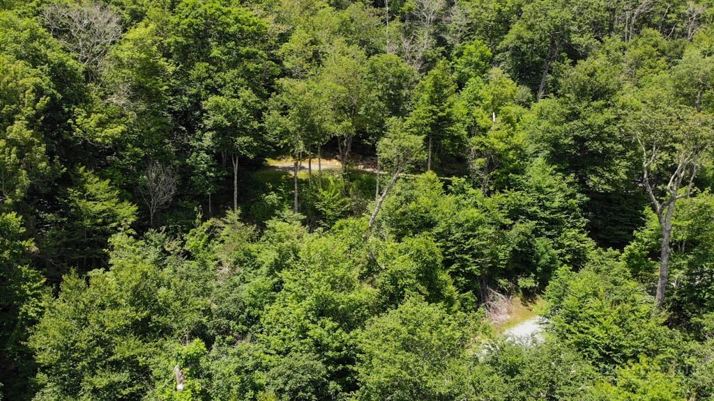 Image number 3 for the current listing