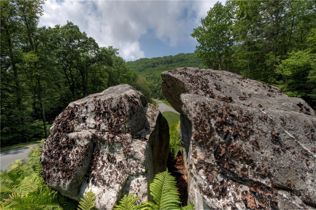 Image number 8 for the current listing