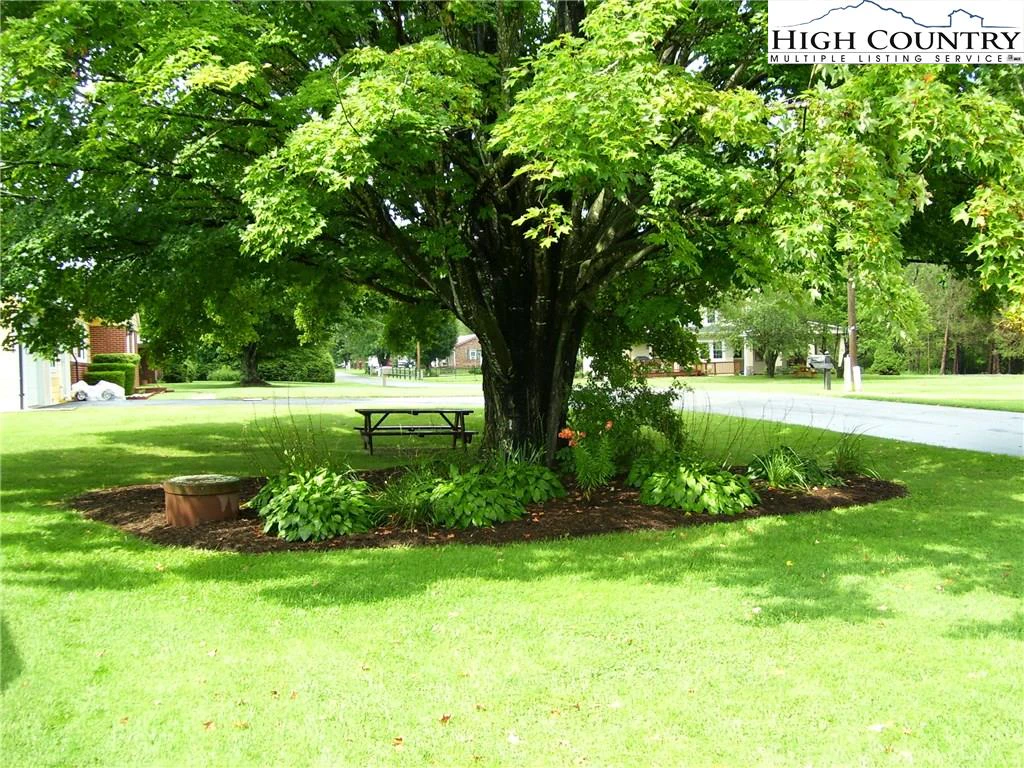 Image number 19 for the current listing