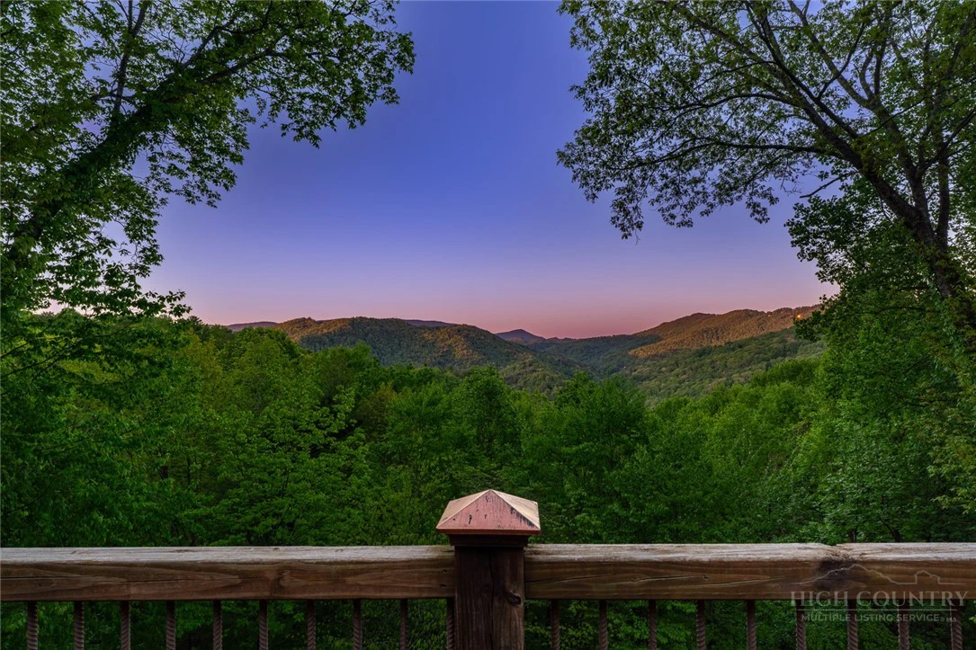 Image number 2 for the current listing