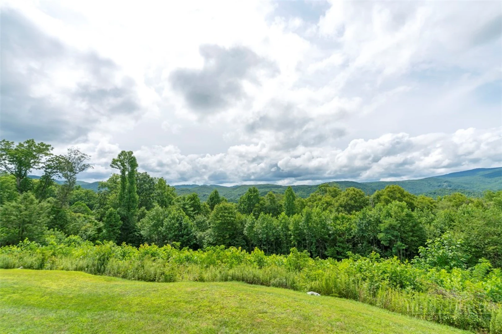 Image number 16 for the current listing